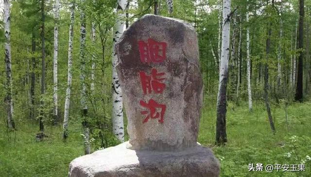 漠河归来说漠河（一）