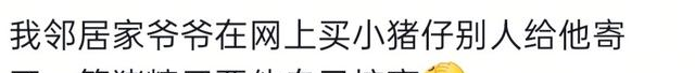 为什么说千万别让父母学会网购！看看评论区就知道了