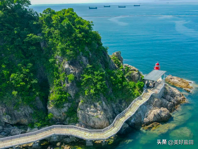 在深圳，散步才是正经事～