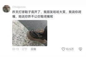 在东北你可以没钱，但不能没活，评论区真是要笑死我了图片
