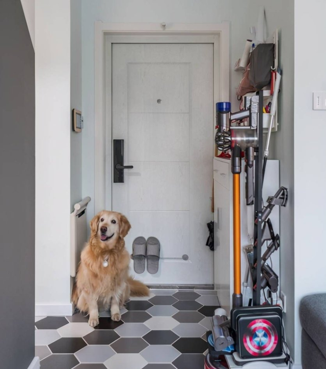 38平米的小家，客厅餐厅衣帽间卧室一个不少，一人一汪住超舒服