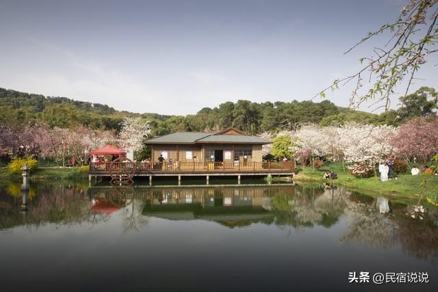 武汉赏樱花秘境，一篇告诉大家