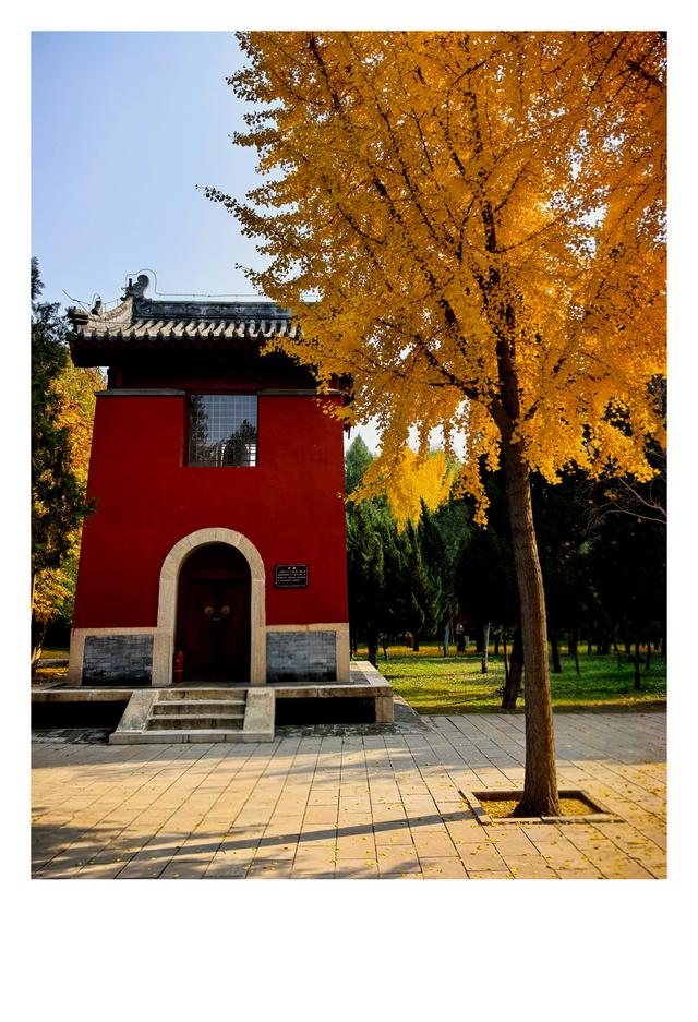 秋未央冬已至，此刻的石家庄毗卢寺正是秋色渐浓，一派秀丽风光。