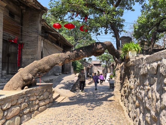 开车路过潼关，要不是路边肉夹馍店的诱惑，差点错失这处旅游美景