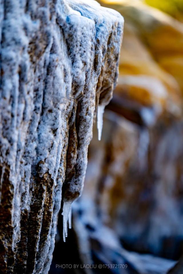 很多人没见过！在日照海边绵延数公里……