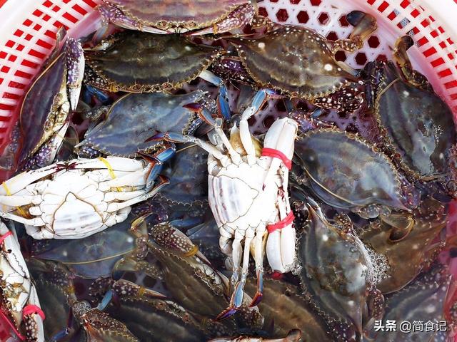 中国哪里的梭子蟹最好吃？经过评比，这8个地方上榜，有你家乡吗