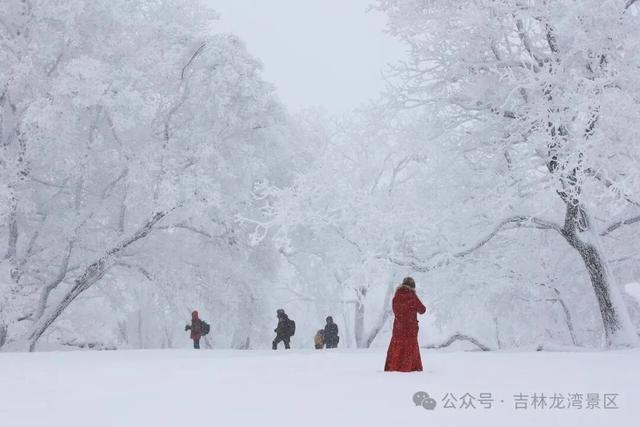 告别金秋，邂逅龙湾初冬！赏雪、观雾凇攻略，这两处景区别错过~