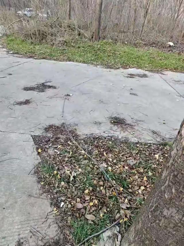 首阳山公园悲剧：致命铁丝夺命	，谁之责	。