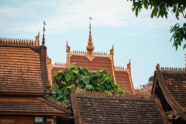 强烈建议！12 月一定要去一次西双版纳！不愧是中国必看暖冬之一！