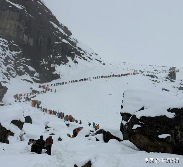 齐腰深雪开路9小时，无名向导扛起百人性命！