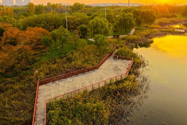 晚霞映照下的宁阳洸河湿地公园