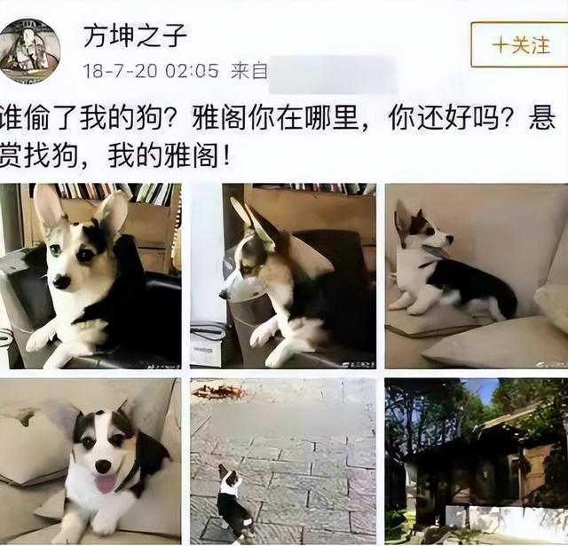 70岁晚节不保！袁立不再隐瞒，张国立丑闻曝光，章子怡也被拖下水