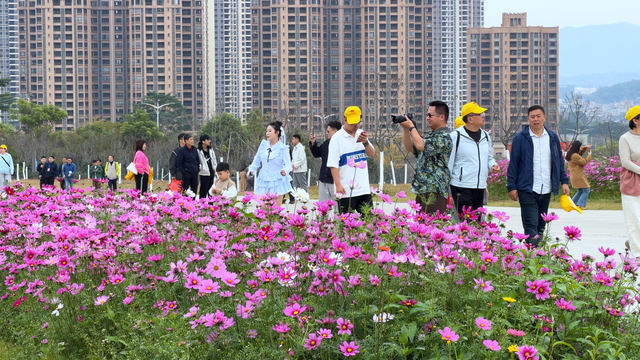 请到云浮过大年，交出亮眼成绩单