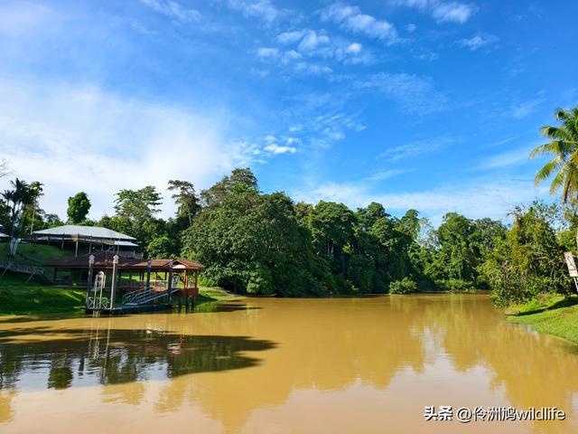 马来西亚(32)砂拉越州⑥世界遗产尼亚洞窟探险