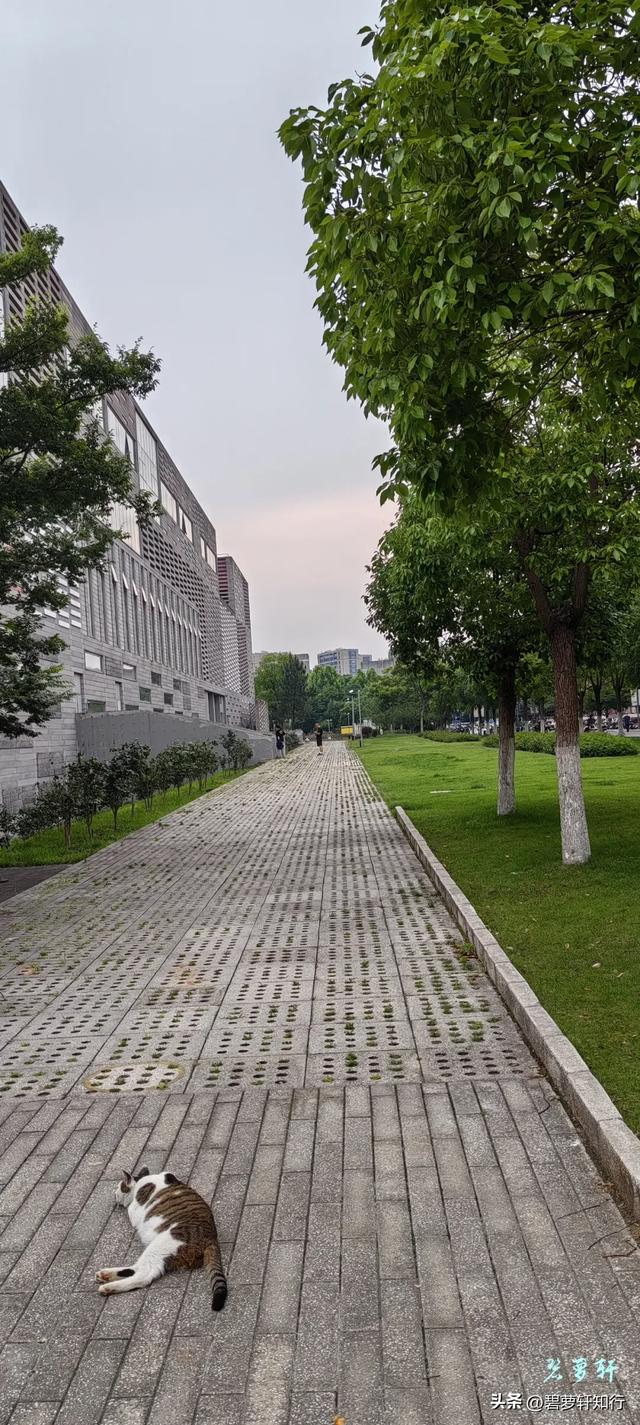 浙大紫金港，最豪气的浙大校区