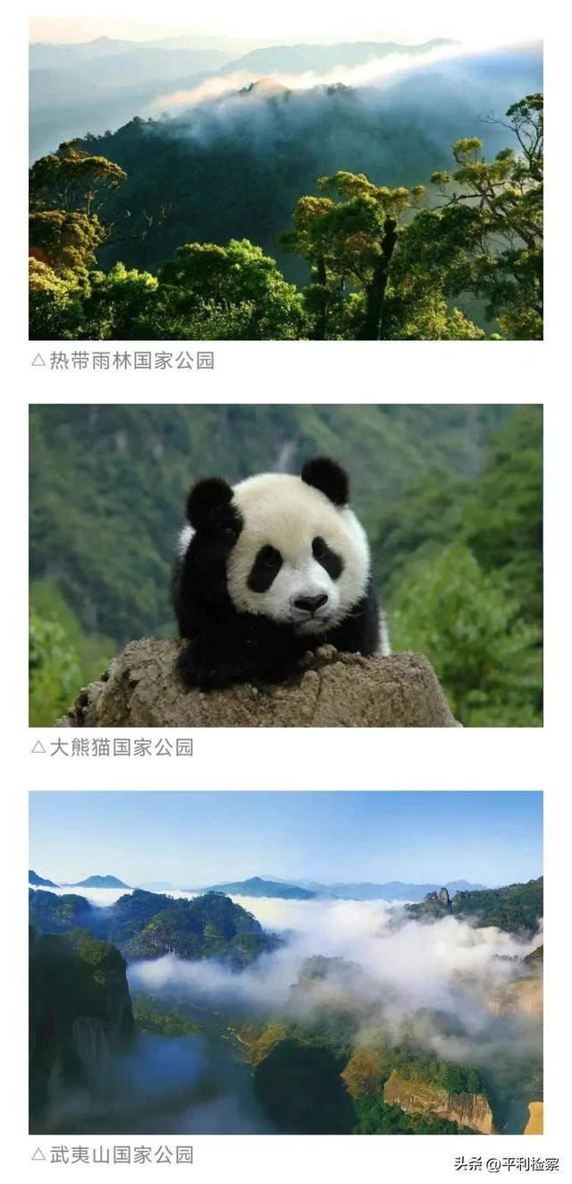 【法治热点早知道】有人在景区挖“玛瑙和黄金”，官方回应