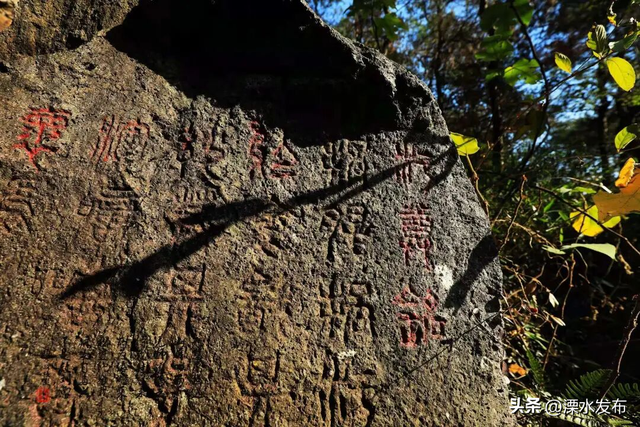 国家级“天然氧吧”，马上冲！