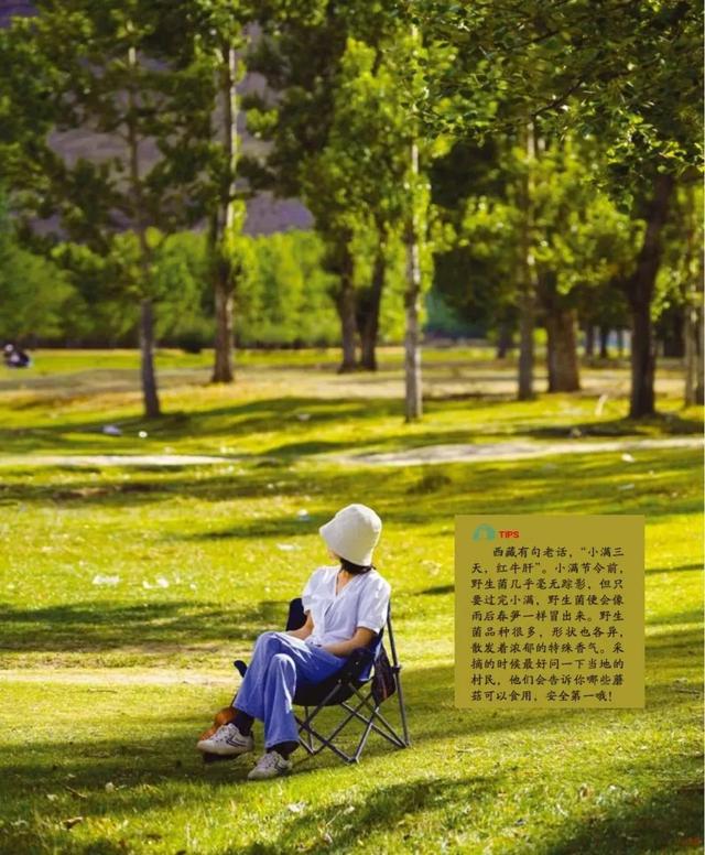 秋日浪漫天花板！拉萨出发一日游攻略，小众玩法刷爆朋友圈！