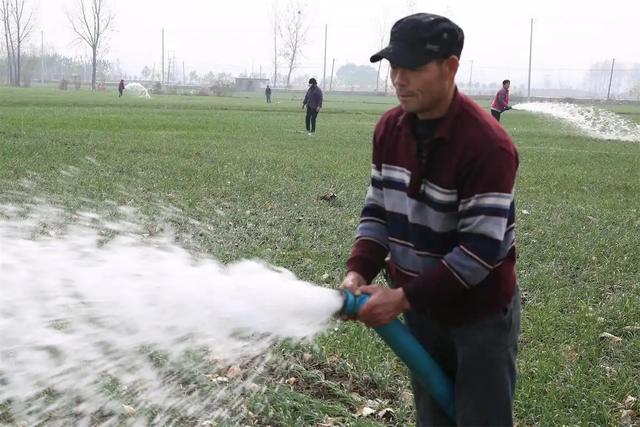 “最怕大雪一日晴”	，今日大雪，为啥怕？冬天冷不冷？早看早知道