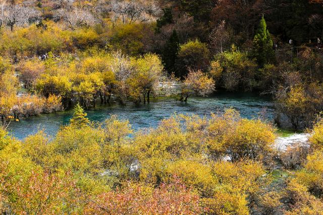 光影札记 | 秋染九寨：一半湖水蓝，一半山林红