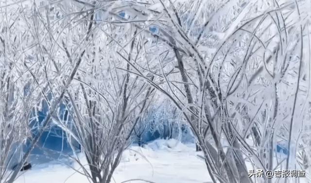 三层逻辑拆解！吉林如何把22℃玩成今夏“顶流”