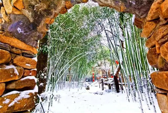 大雪至沂蒙，山水待君游