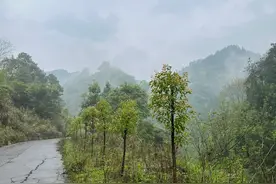 一次挂清，竟成植物人。如此诡异，谁解其中谜？图片