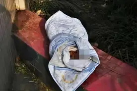 山西老太捡回独臂女婴，捡破烂养她25年，女孩考上博士后回来报恩图片