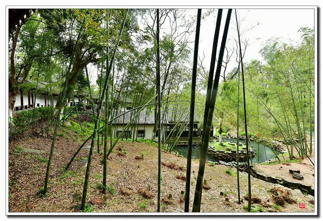 岳麓书院（后院）