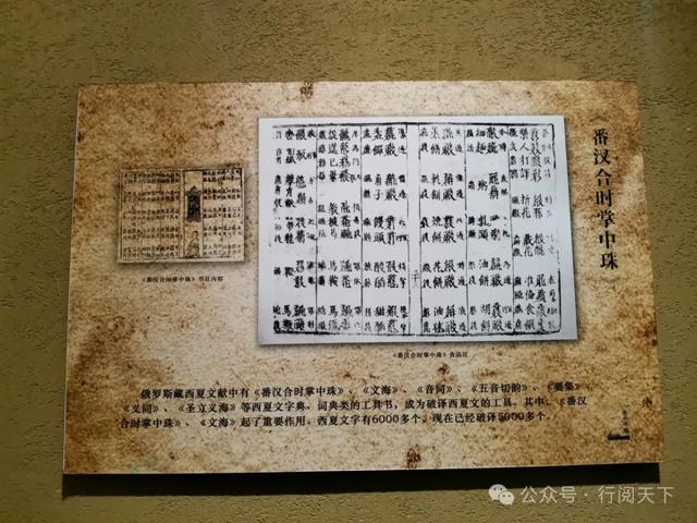 额济纳，额济纳，秋天必须要去额济纳，与金色胡杨林相遇