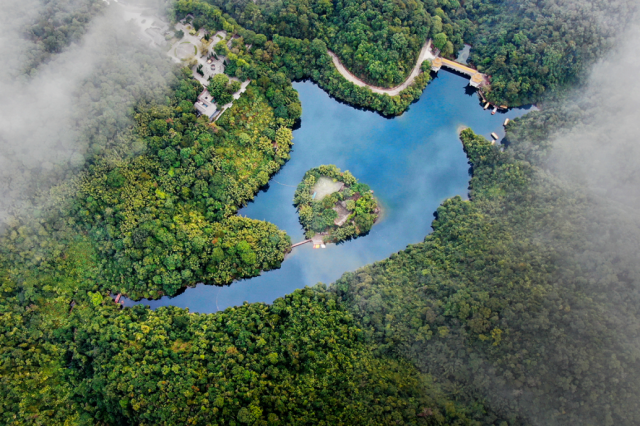 免票、打折……肇庆超多福利来袭！速看→
