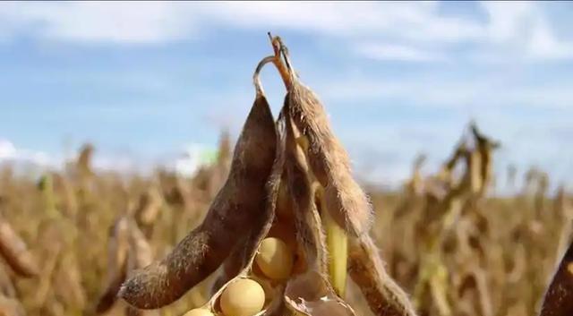 特朗普深夜发文，宣布终止谈判，中国已接到通知，美亲密盟友倒戈