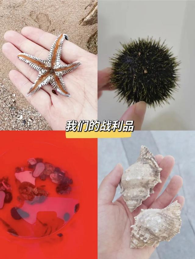 珠海赶海地图出炉！这些宝藏海滩，火爆了！