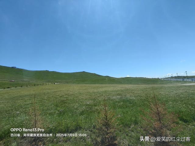 我的旅行日记——壮美的黄河九曲第一湾