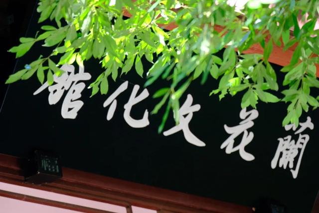 兰亭絮语｜这个立秋，在草堂赴一场夏末兰会