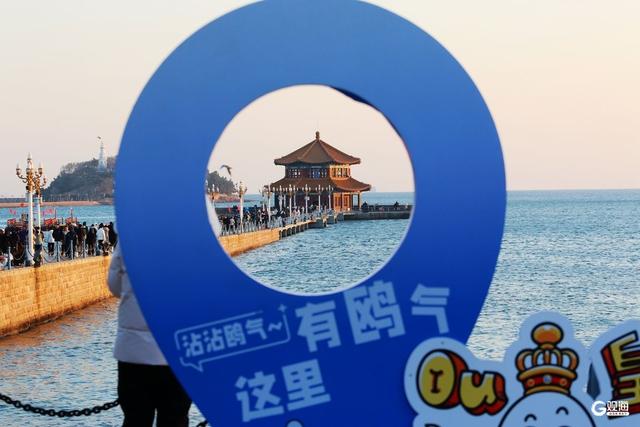 青岛栈桥游人与海鸥同乐 映照冬日最美风光