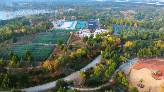 秋之丰硕·西营门街的秋，藏着多少“人间烟火”？