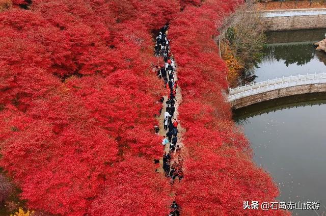 赤山四季皆美景，岁月如画待君游