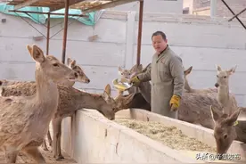 嚯！辛集这俩村有宝贝图片