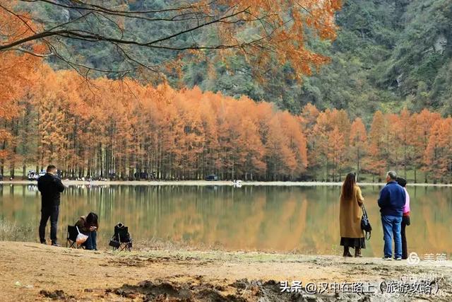 龙池秋色惹人醉