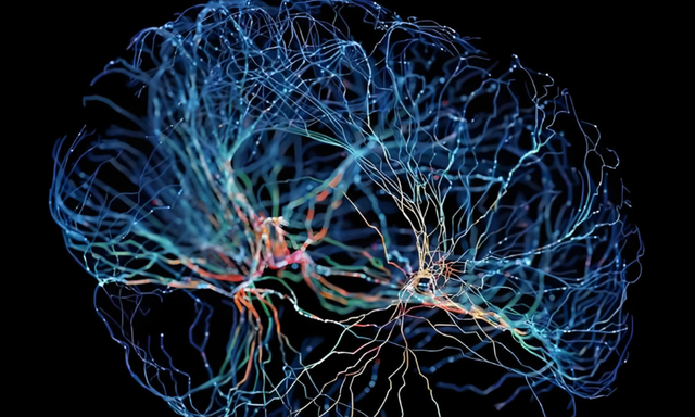 AI学大脑干活！南加大搞出“仿生神经元”单晶体管解困局