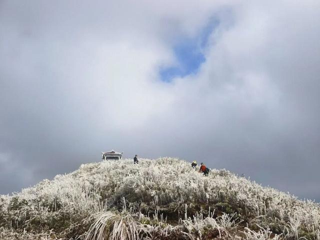 雪景 │ 美到词穷！仁怀首场雾凇惊艳上线