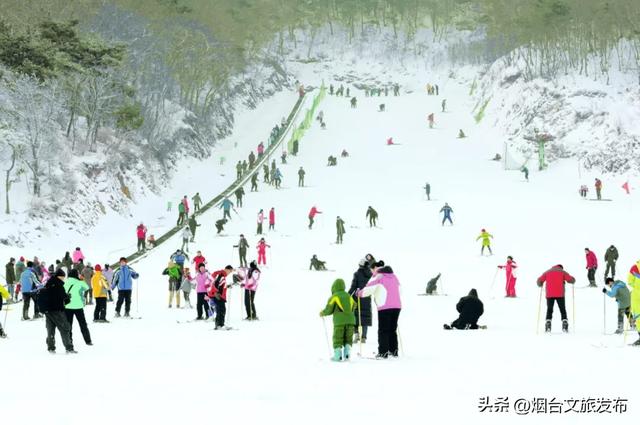 雪雪雪雪!烟台高热玩法攻略来了!