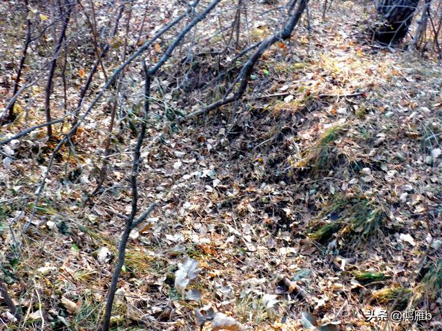 明长城本溪段全程探寻