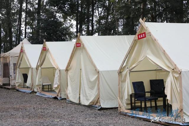 近悦远来·营城兴业丨逛营地、骑骏马！邛崃首家马术野骑营地开启乡村游玩新体验