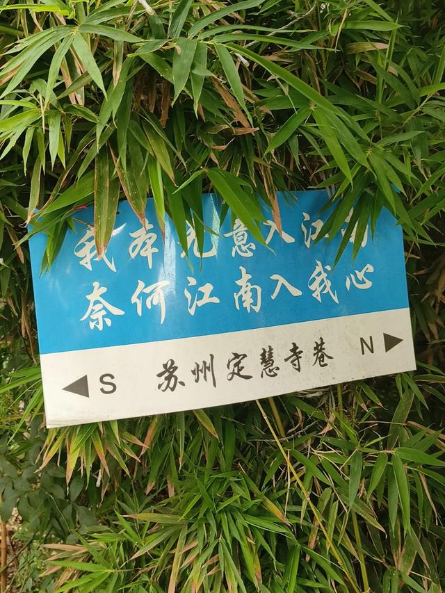 《南京》和《苏州》七日游(十八)