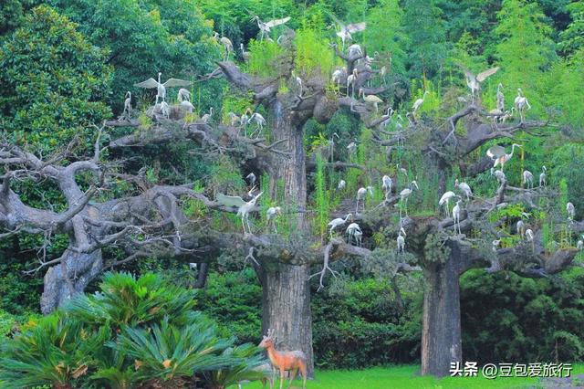 宜春篇漫游攻略：赣西山水人文之旅