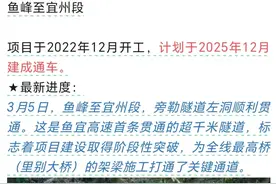全长约721公里的高速路：梧州至乐业（柳州—宜州—东兰段）图片