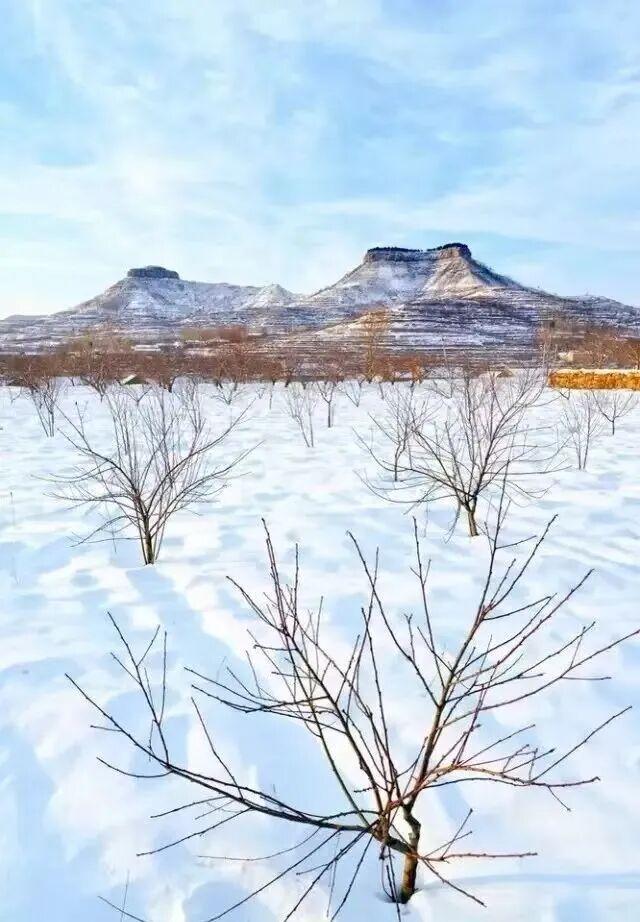 惠民又好玩！临沂36项文旅优惠+69项活动上线