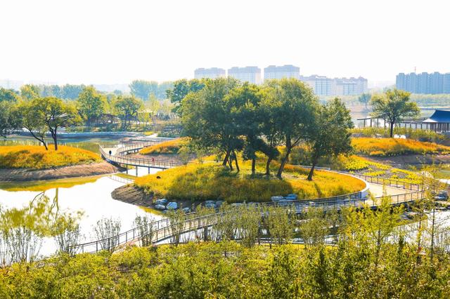 故宫北院区旁新添“生态明珠”，玉河湿地公园打造多元亲水活力场景